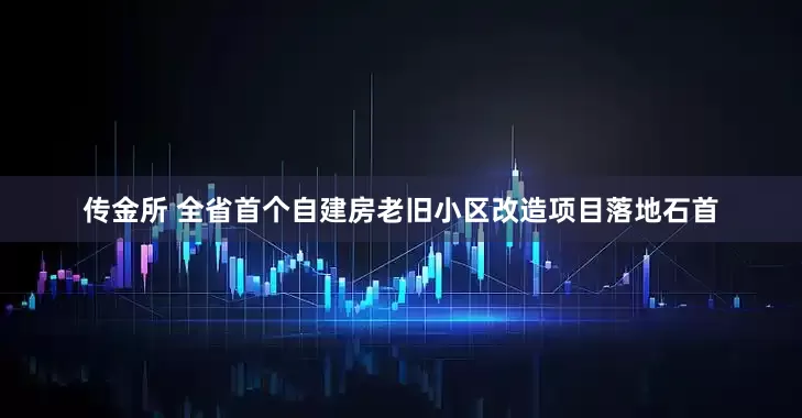 传金所 全省首个自建房老旧小区改造项目落地石首