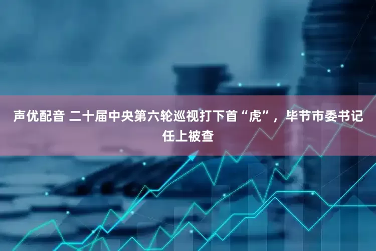 声优配音 二十届中央第六轮巡视打下首“虎”，毕节市委书记任上被查