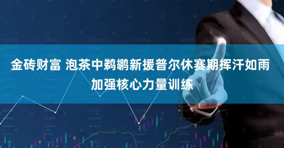 金砖财富 泡茶中鹈鹕新援普尔休赛期挥汗如雨 加强核心力量训练