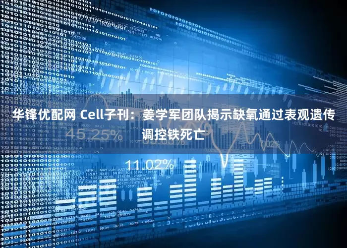 华锋优配网 Cell子刊：姜学军团队揭示缺氧通过表观遗传调控铁死亡
