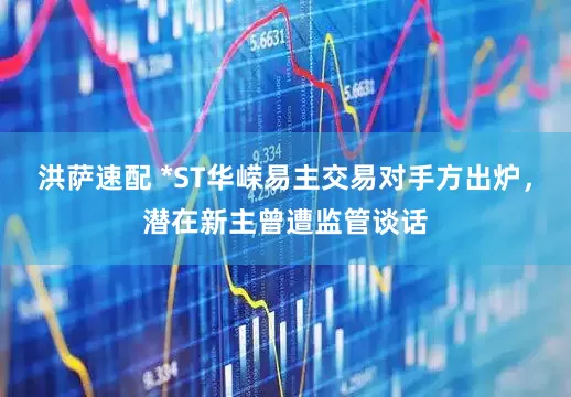 洪萨速配 *ST华嵘易主交易对手方出炉，潜在新主曾遭监管谈话