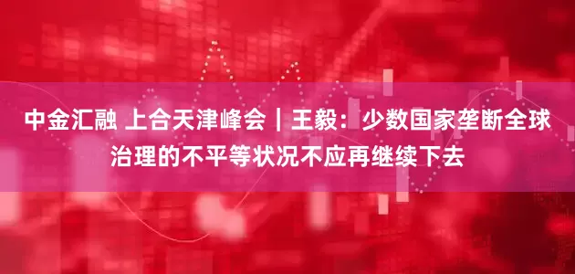 中金汇融 上合天津峰会｜王毅：少数国家垄断全球治理的不平等状况不应再继续下去