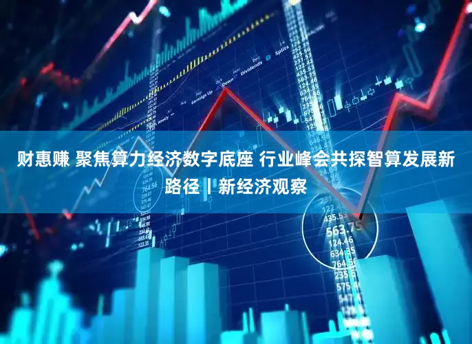 财惠赚 聚焦算力经济数字底座 行业峰会共探智算发展新路径丨新经济观察